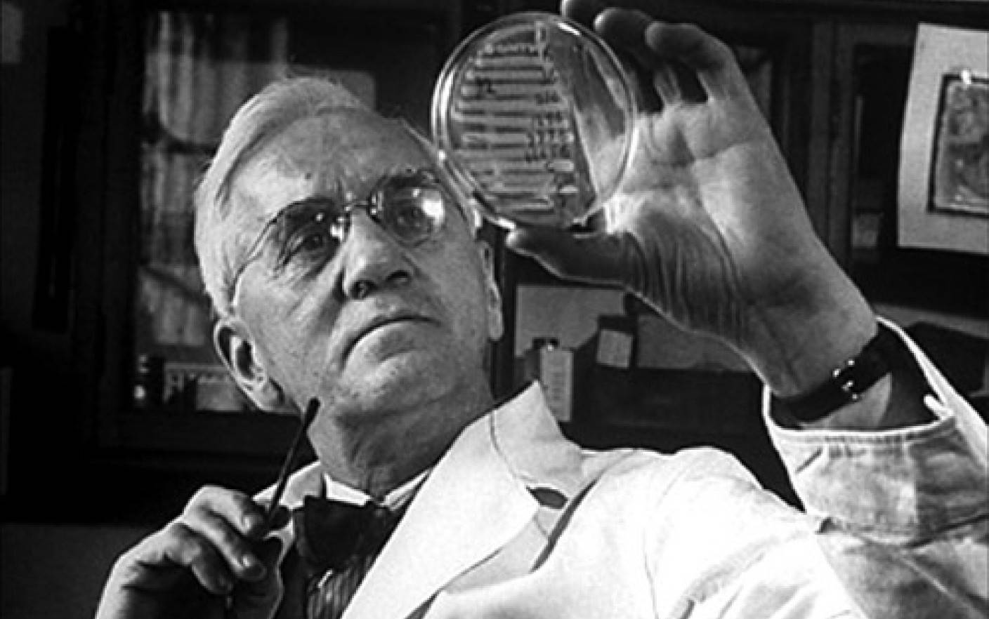 Ciuperca istorică care a dat lumii Penicilina