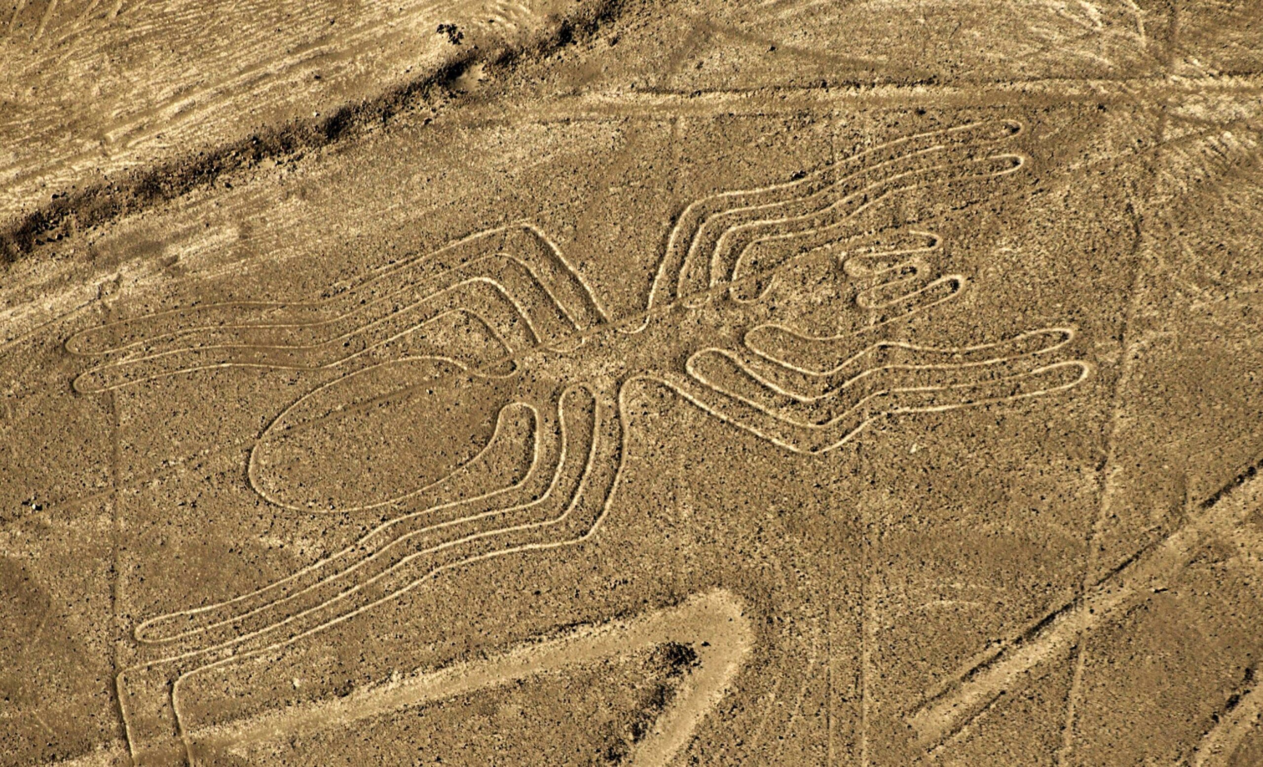 Liniile Nazca, desenele misterioase care pot fi văzute doar din avion