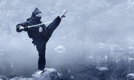 Războinicii Ninja. Asasini și spioni în Japonia medievală