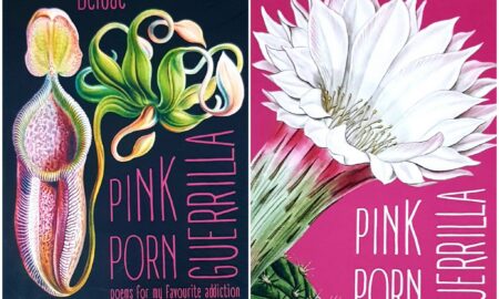 Anca-Iulia Beidac, Pink Porn Guerrilla - tu știi c-am mințit