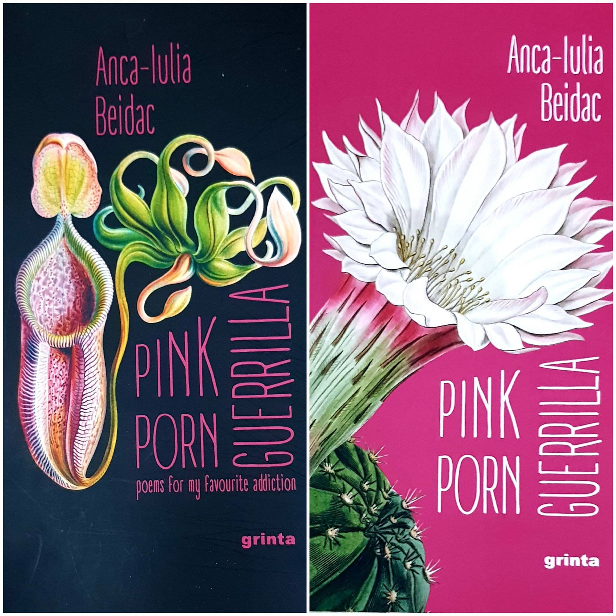 Anca-Iulia Beidac, Pink Porn Guerrilla - tu știi c-am mințit