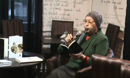 Angela Marcovici, Jurnal scris în a treia parte a zilei