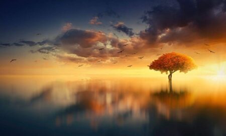 Cât de ușor este să spui ce este arta