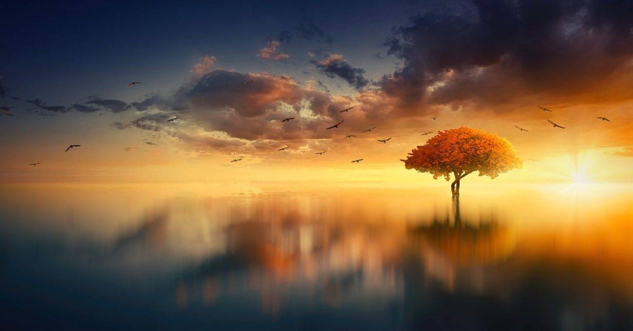 Cât de ușor este să spui ce este arta