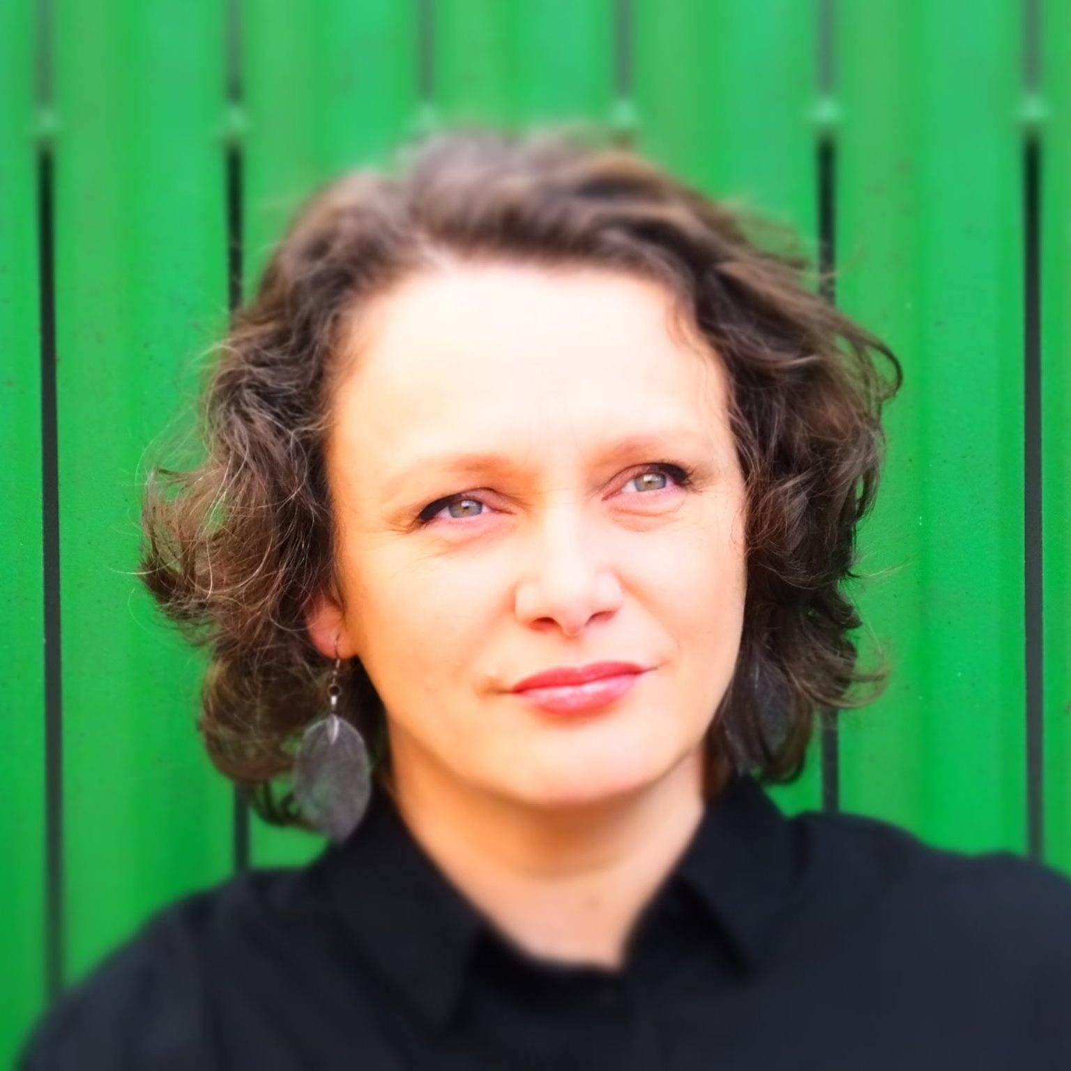 Moni Stănilă, O lume din evantaie, pe care să nu o împarți cu nimeni