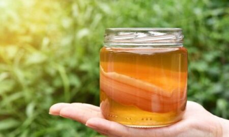 Kombucha. Băutura care te face nemuritor