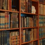 Opere ale literaturii ruse care te vor surprinde