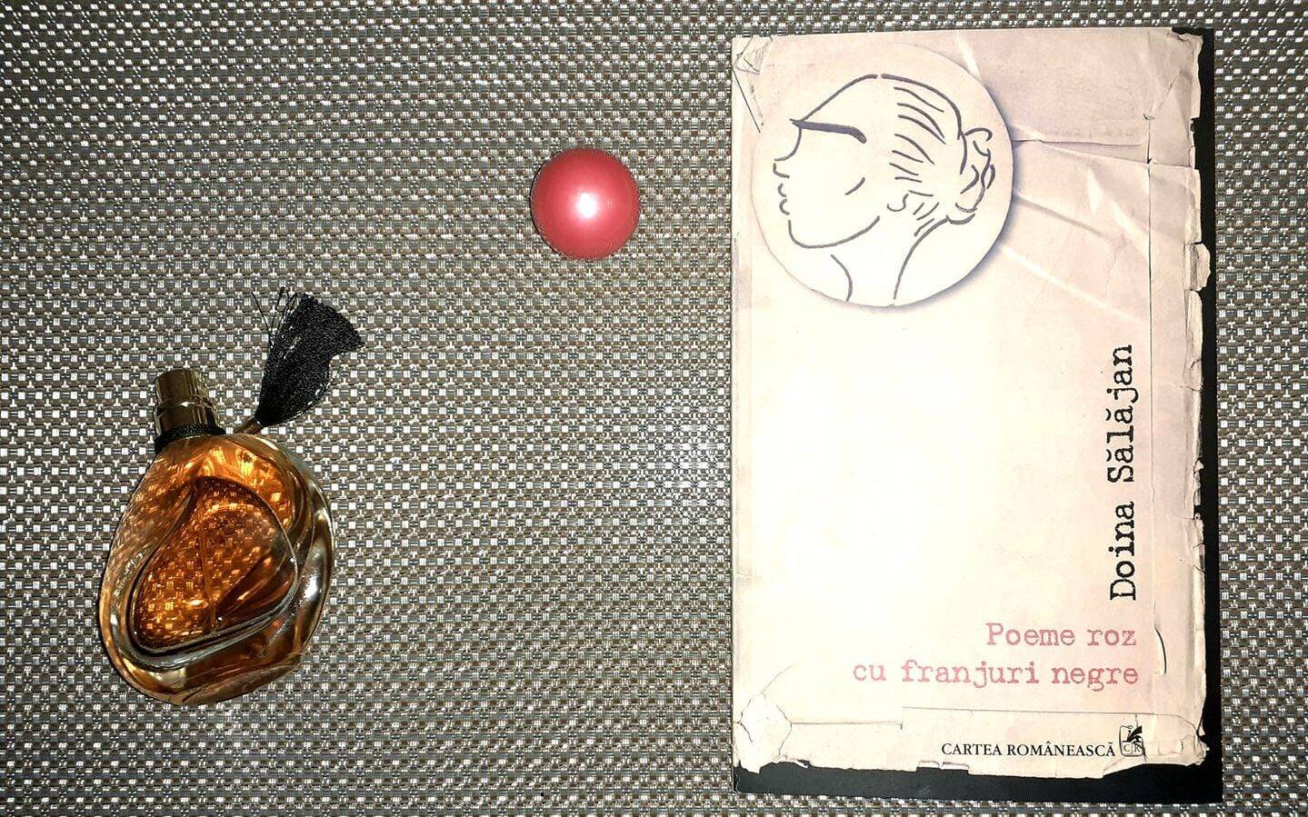 Doina Sălăjan, Poeme roz cu franjuri negre