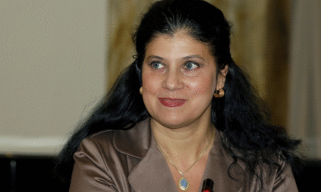 Ioana Drăgan, Gripa. O poveste de Crăciun