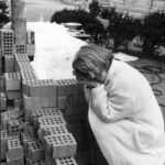 Mariana Marin, Un război de o sută de ani