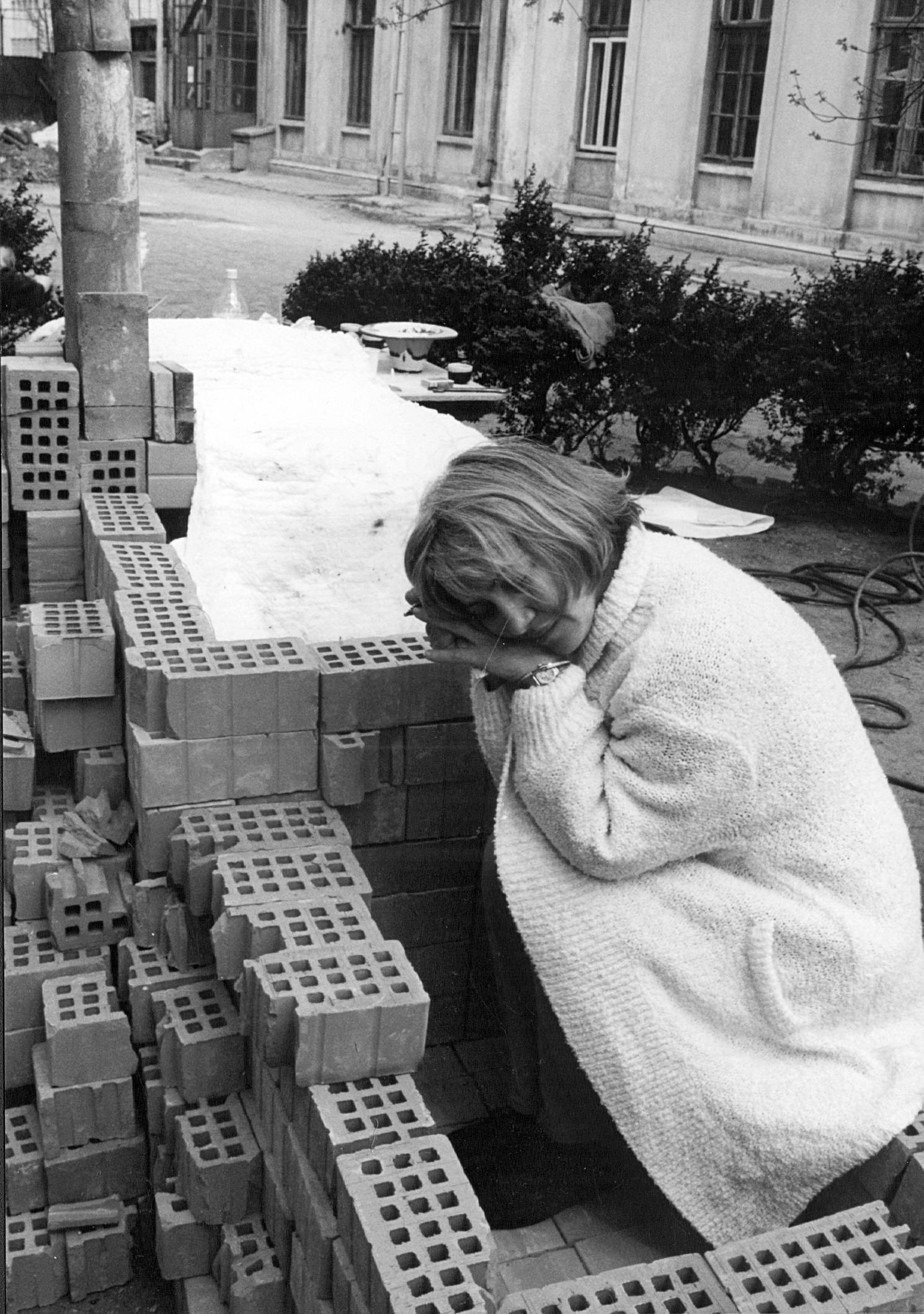 Mariana Marin, Un război de o sută de ani