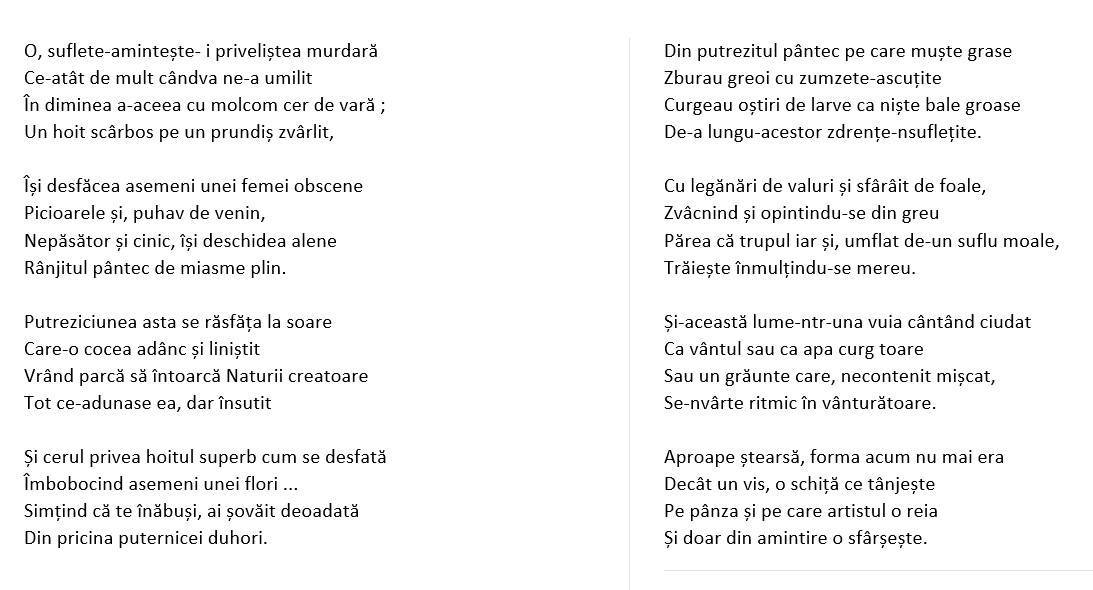 5 poeți francezi moderni care te ajută să înțelegi mai bine poezia contemporană