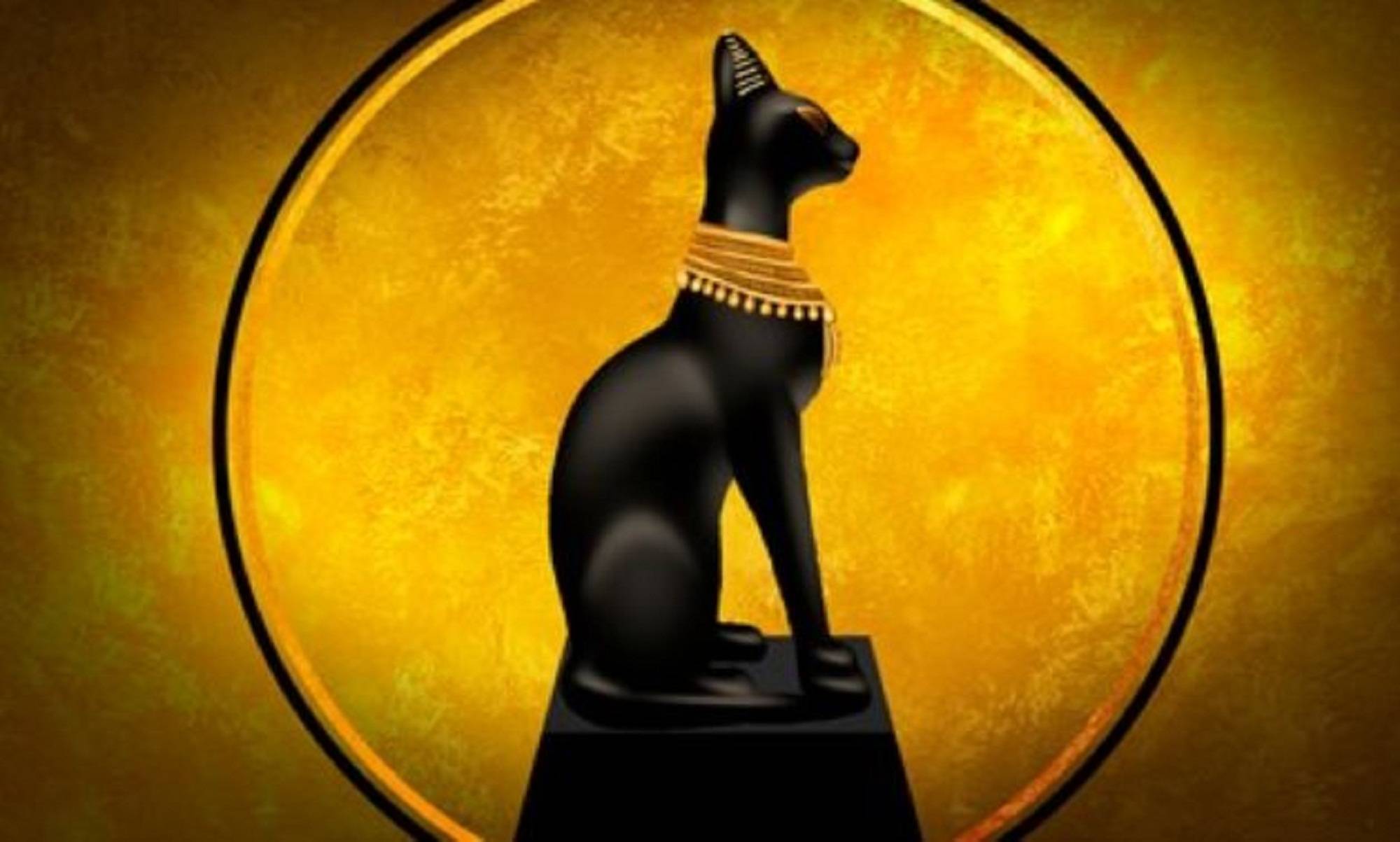 Domesticirea pisicii: din Egipt până în prezent