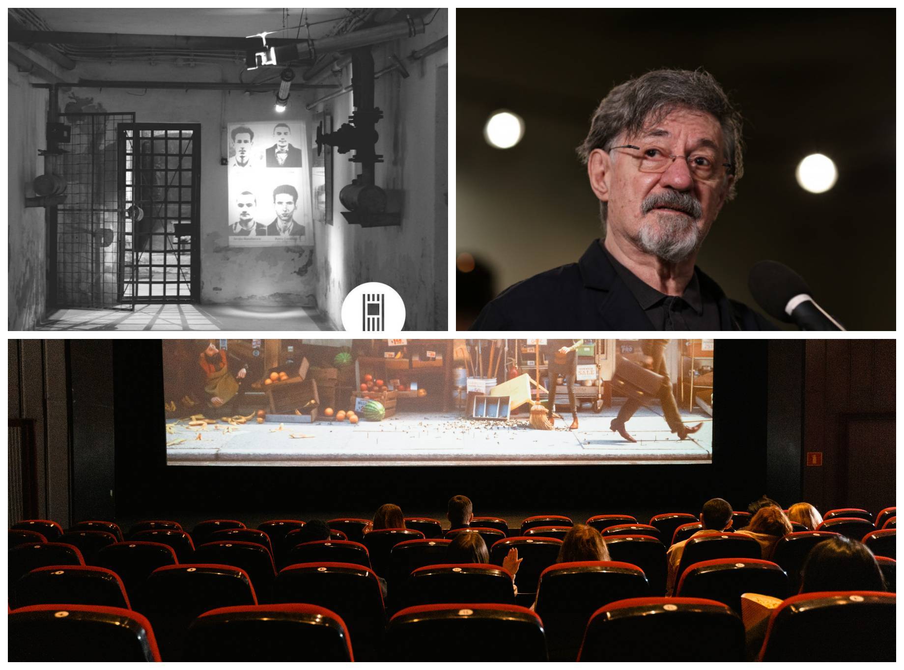 Ion Caramitru TNB Experiment Pitesti