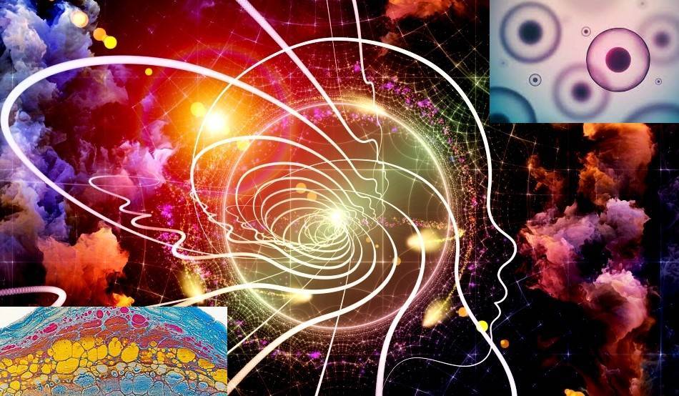 Răfuiala științei cu Dumnezeu. Limitele divinității într-o lume evoluționistă