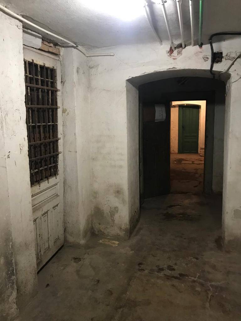 Foto: Muzeul Ţării Crişurilor