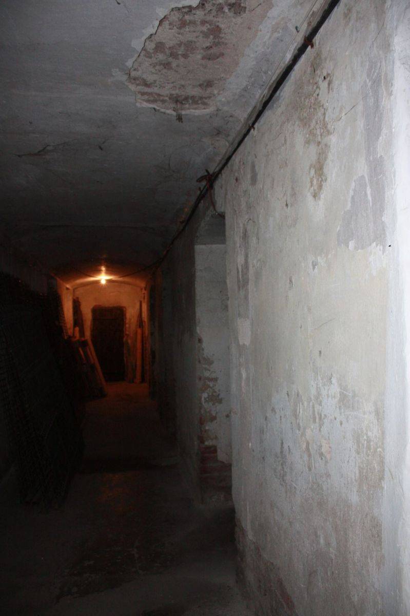 Foto: Muzeul Ţării Crişurilor