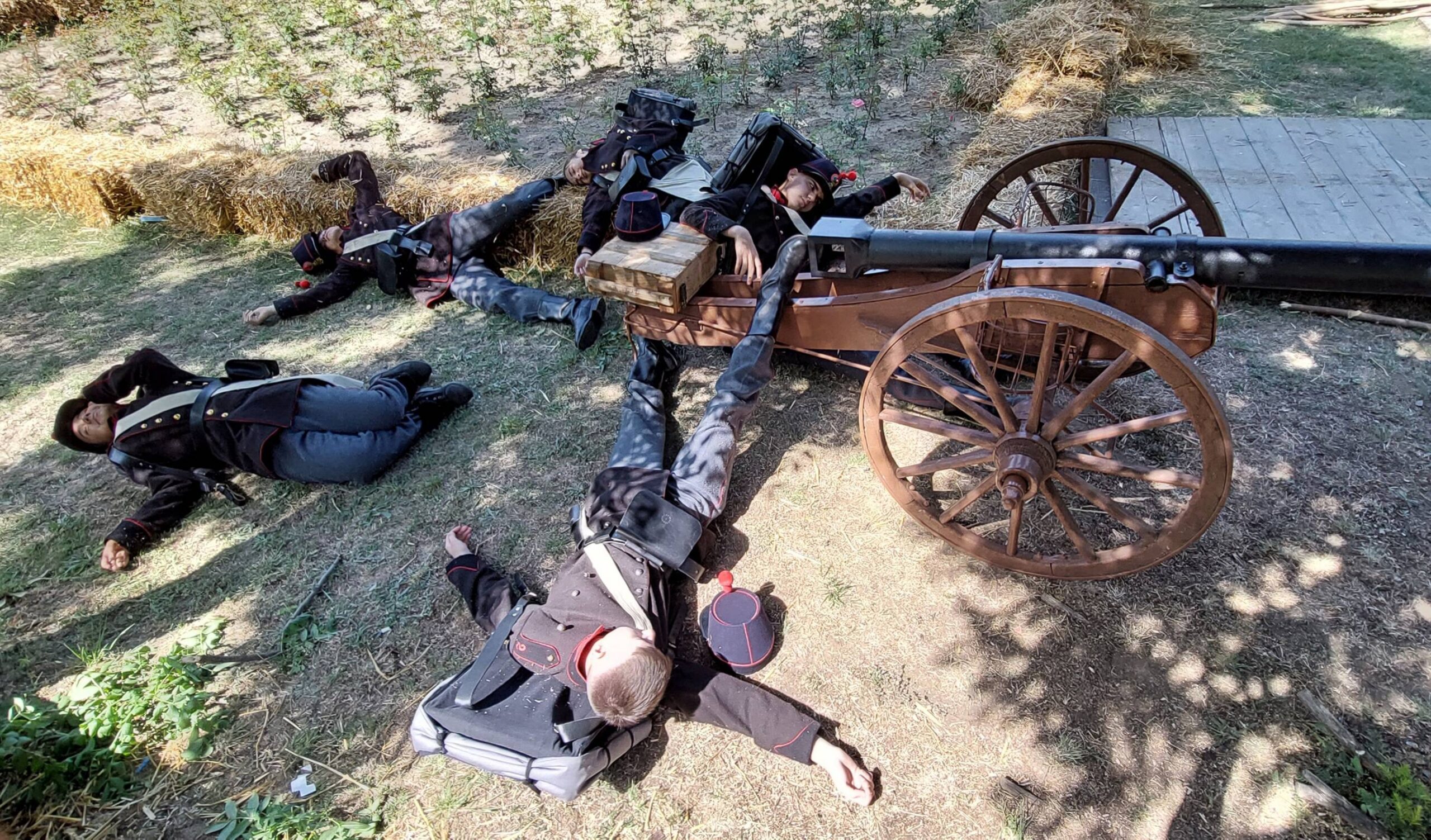 Ziua Independentei Calafat