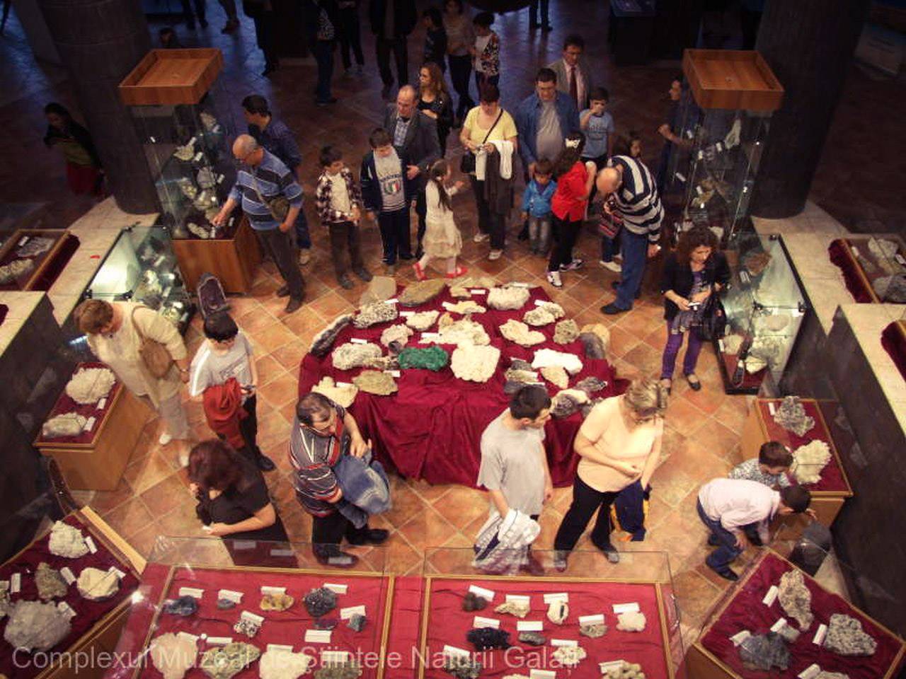 Noaptea Muzeelor la Galați. Colecțiile Complexului Muzeal de Științele Naturii pot fi vizitate de turiști