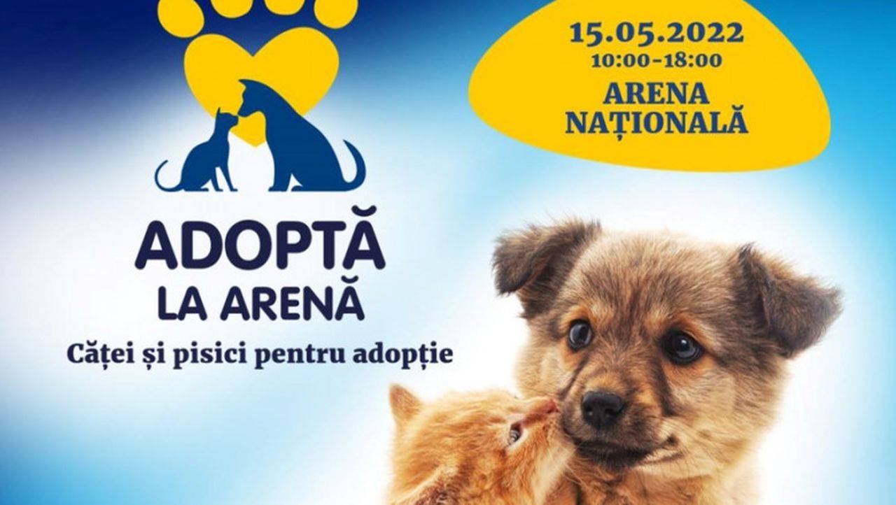 Campania ASPA aduce românilor șansa de a adopta un cățel sau o pisică
