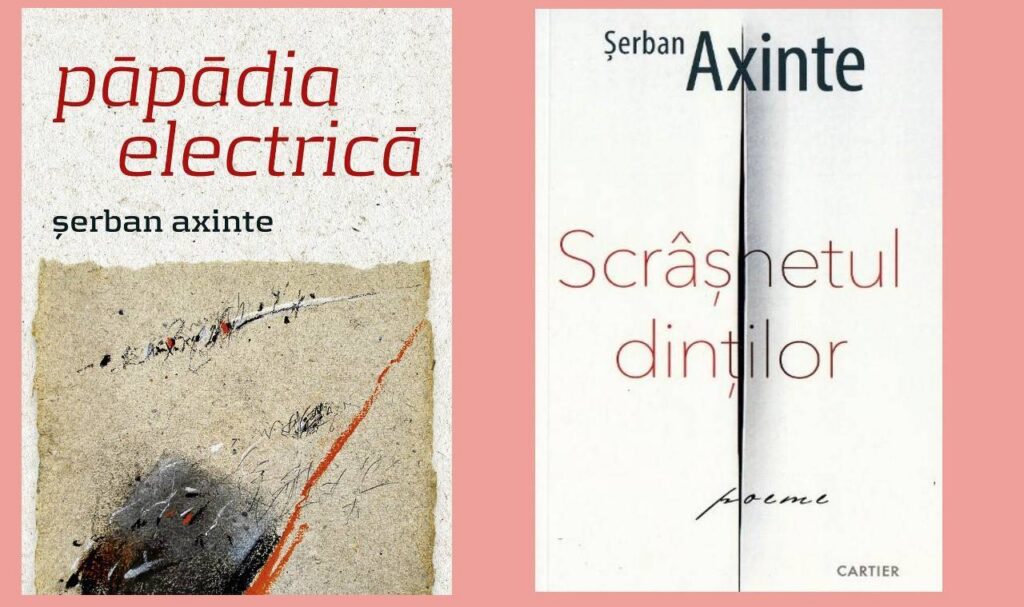 Despre eficiența automutilării sau eficiența luminii la Șerban Axinte în „Scrâșnetul dinților”