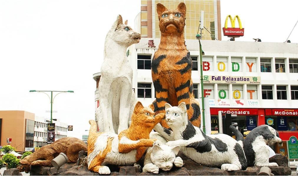 „Orașul pisicilor” povestea lui Haruki Murakami din romanul „1Q84”, semnificația și perspectiva asupra condiției umane