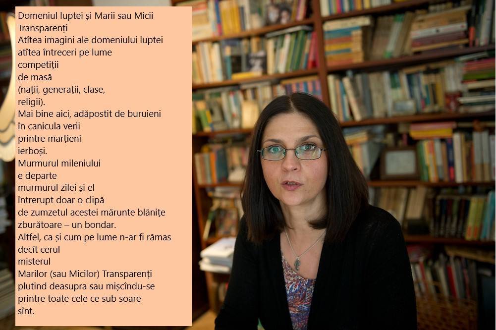 Trei poete pe care ar fi trebuit să le studiem în școli