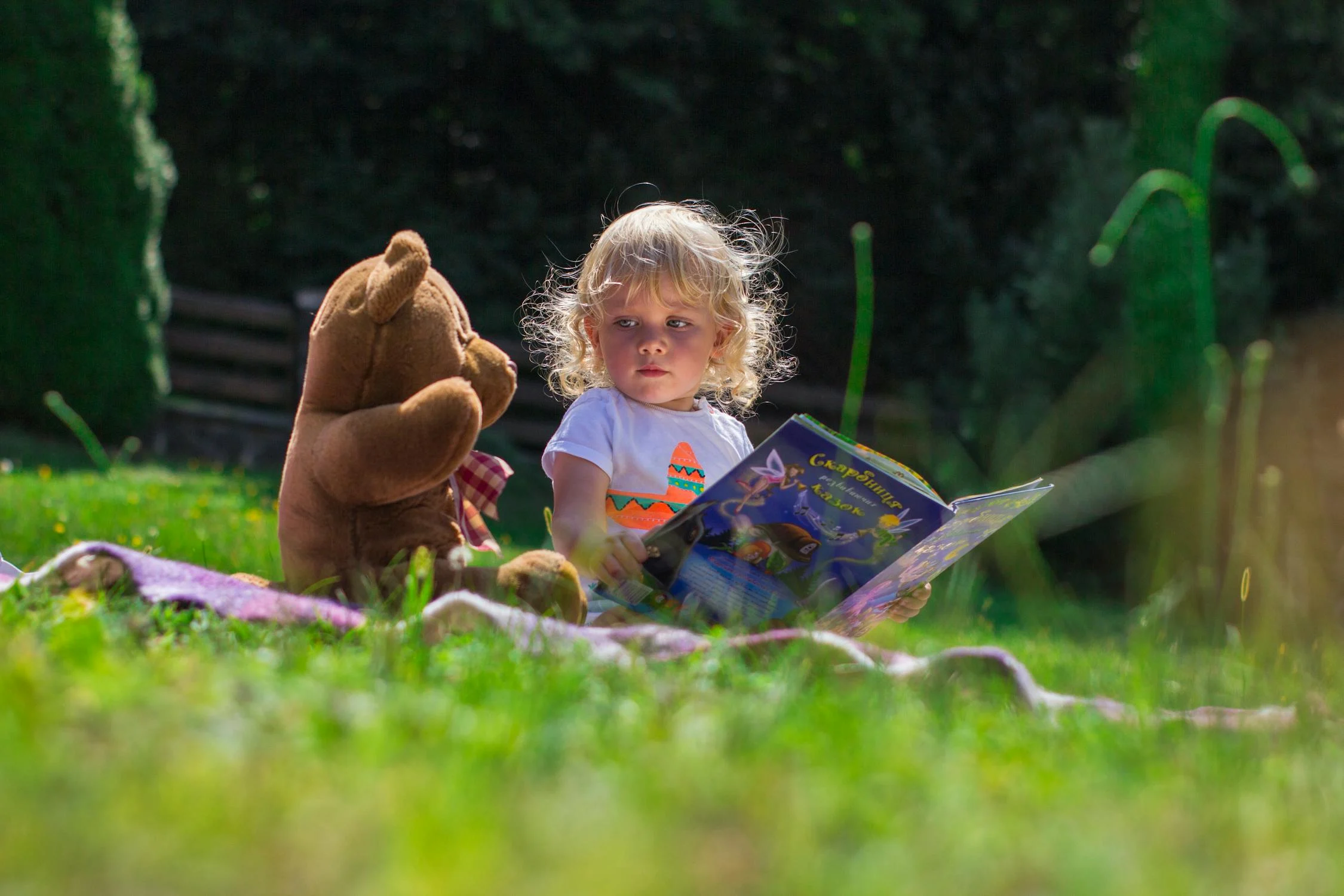 Educația prin natură – Ce învață copiii în pădure, dar nu la școală